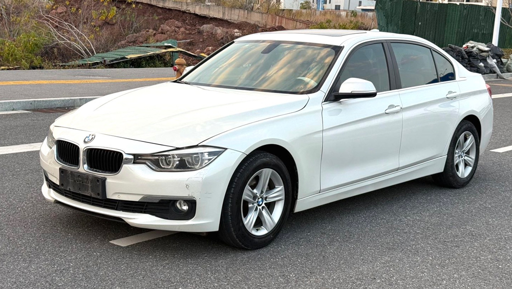 2016款 宝马3系 316Li 1.6T 时尚型 自动挡-3