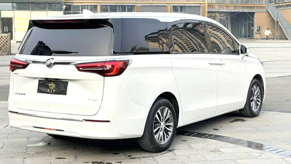 别克GL8 ES 陆尊 2.0T 653T 尊享型 自动挡-4